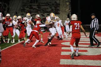 November 1 2019 IMG_7842531